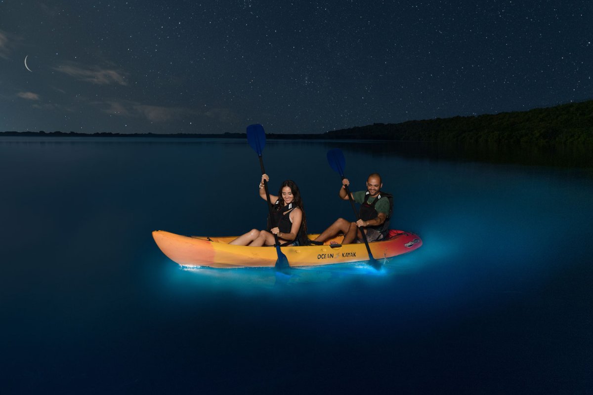 Un par de kayakistas reman por la Laguna Grande, una bahía bioluminiscente en Fajardo, Puerto Rico.