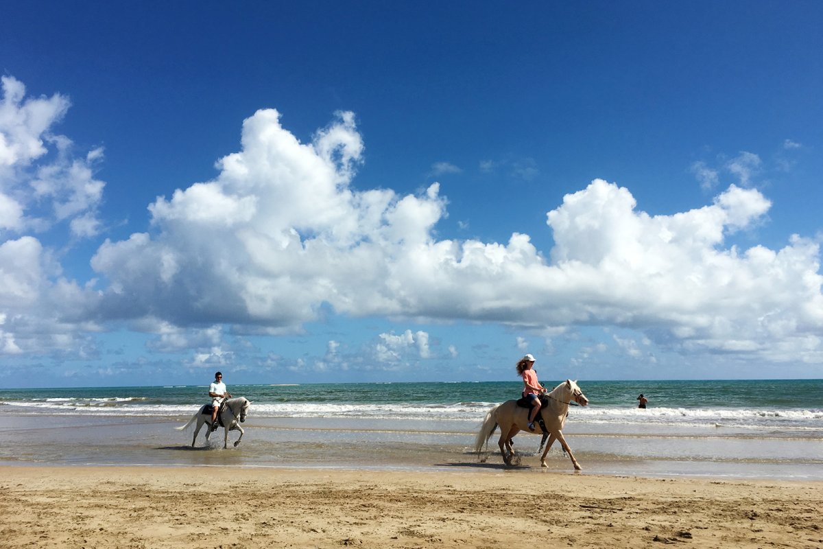 A couple is enjoying a horseback ride on the beach.