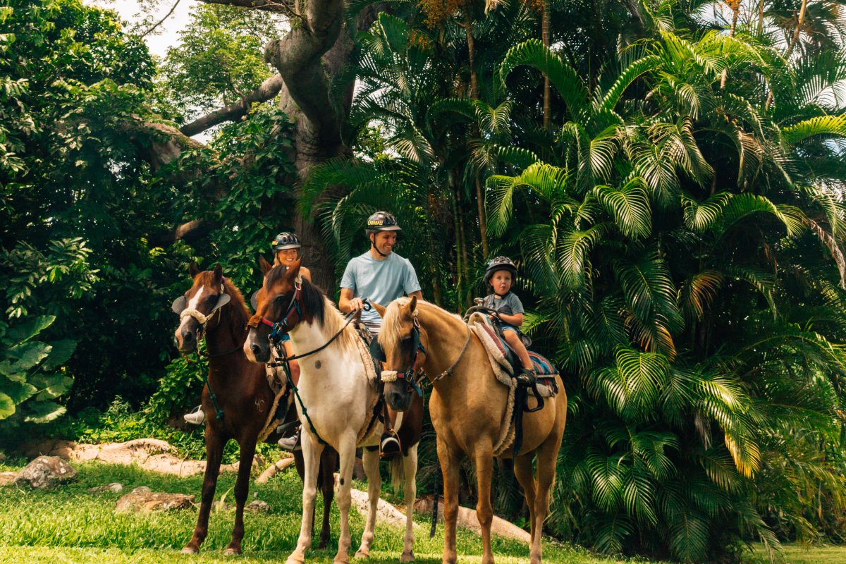 Una familia de tres personas va a pasear a caballo en una exuberante hacienda.
