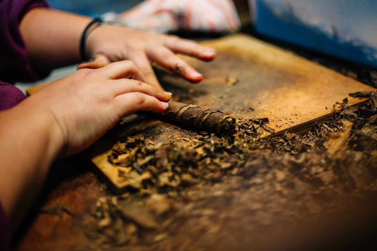 View of the hands of a woman making a tobacco cigar in Caguas.