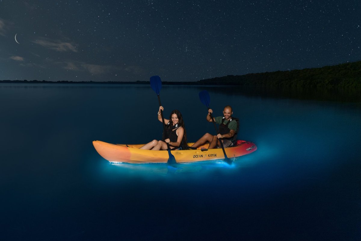 A pair of kayakers paddle through a bioluminescent bay in Puerto Rico.