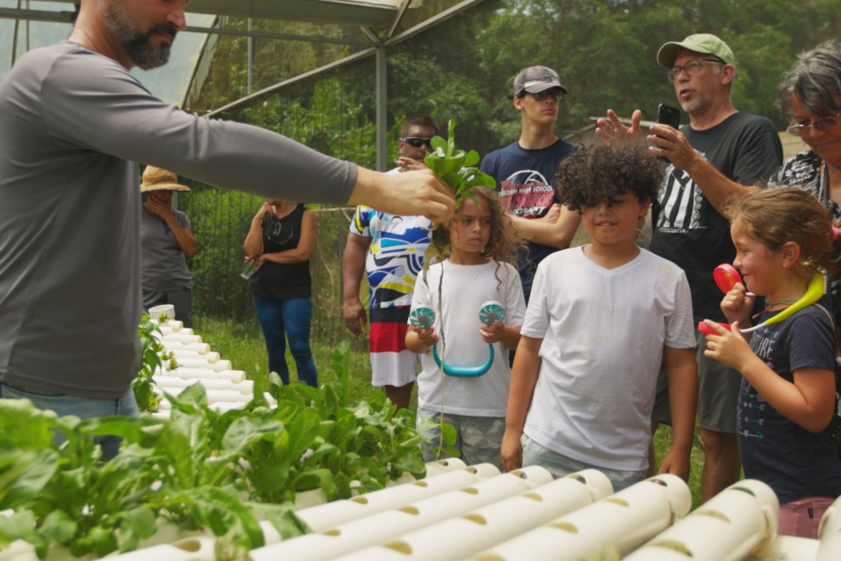 A multi-generational group of people tour a greenhouse at Frutos del Guacabo in Manatí, Puerto Rico.