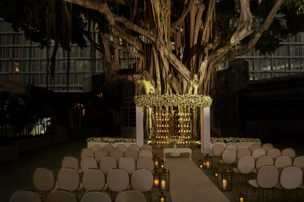 Un árbol de baniano de 300 años en el Fairmont El San Juan Hotel está decorado con luces para una boda.