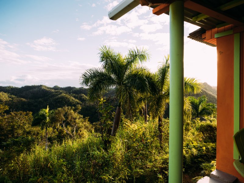 Una vista panorámica del exuberante follaje en Utuado.