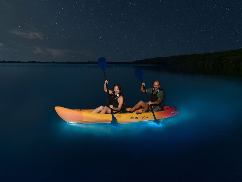 Un par de kayakistas reman por la Laguna Grande, una bahía bioluminiscente en Fajardo, Puerto Rico.