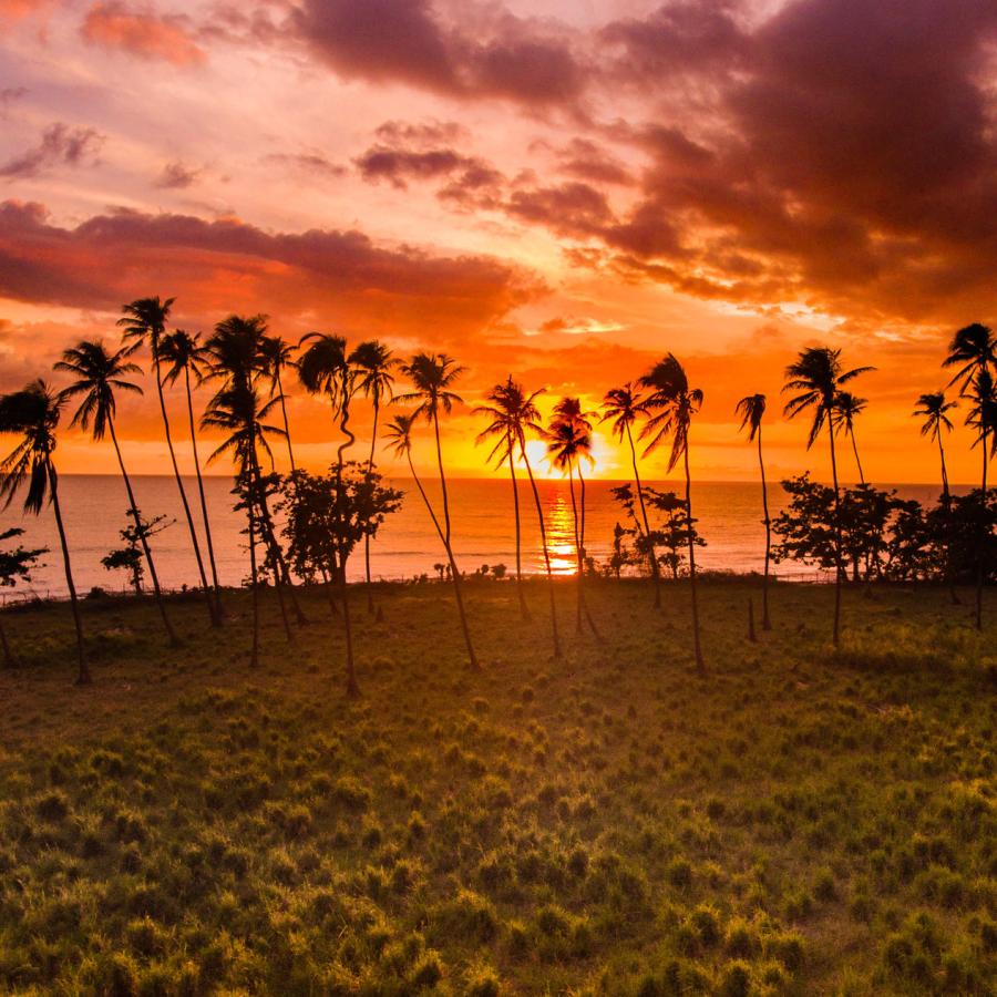 A colorful sunset on the west coast of puerto rico with palm trees in middle distance