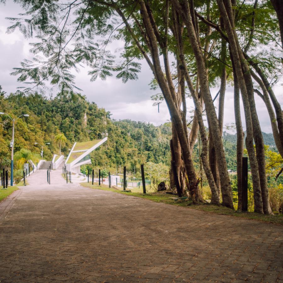 A wide path lined with trees at Paseo Lineal Juan Antonia Corretjer in Ciales.
