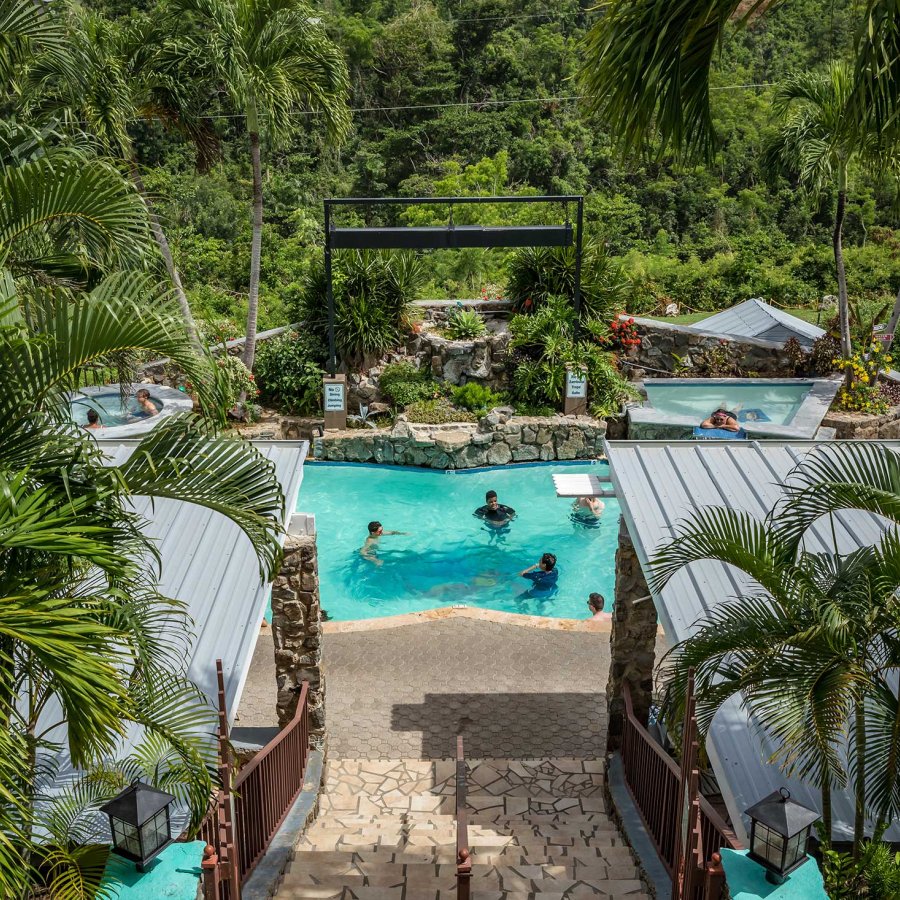 View of the pool at the Lazy Parrot Inn, which is flanked by palm trees and other tropical plants.