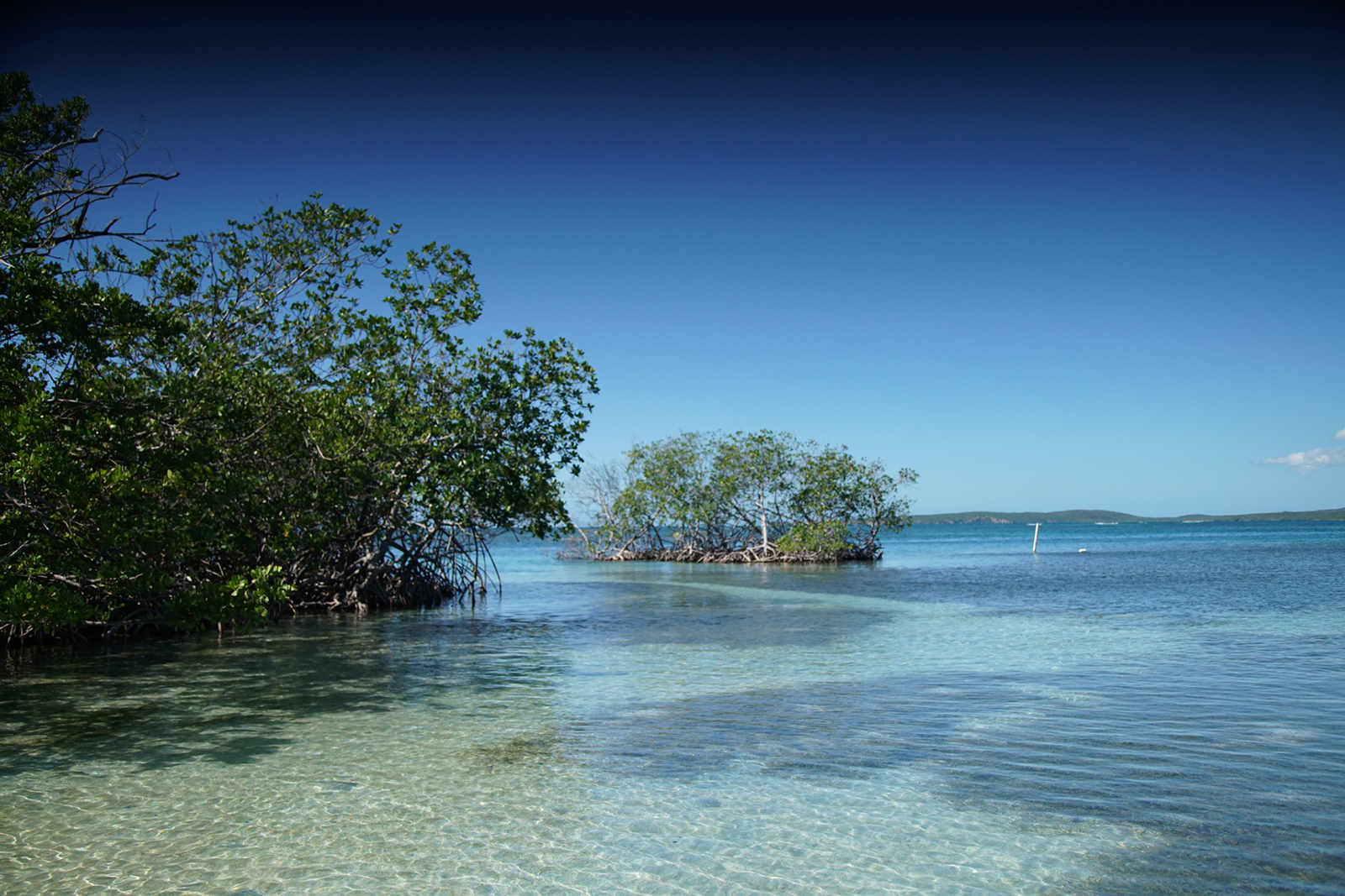 Things to Do in Guánica  Discover Puerto Rico