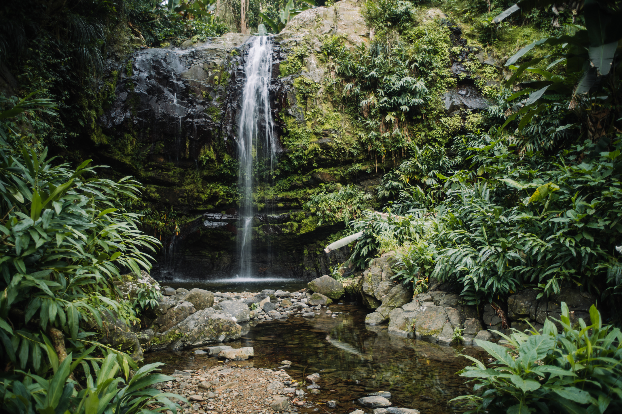 The Las Delicias waterfall in Ciales