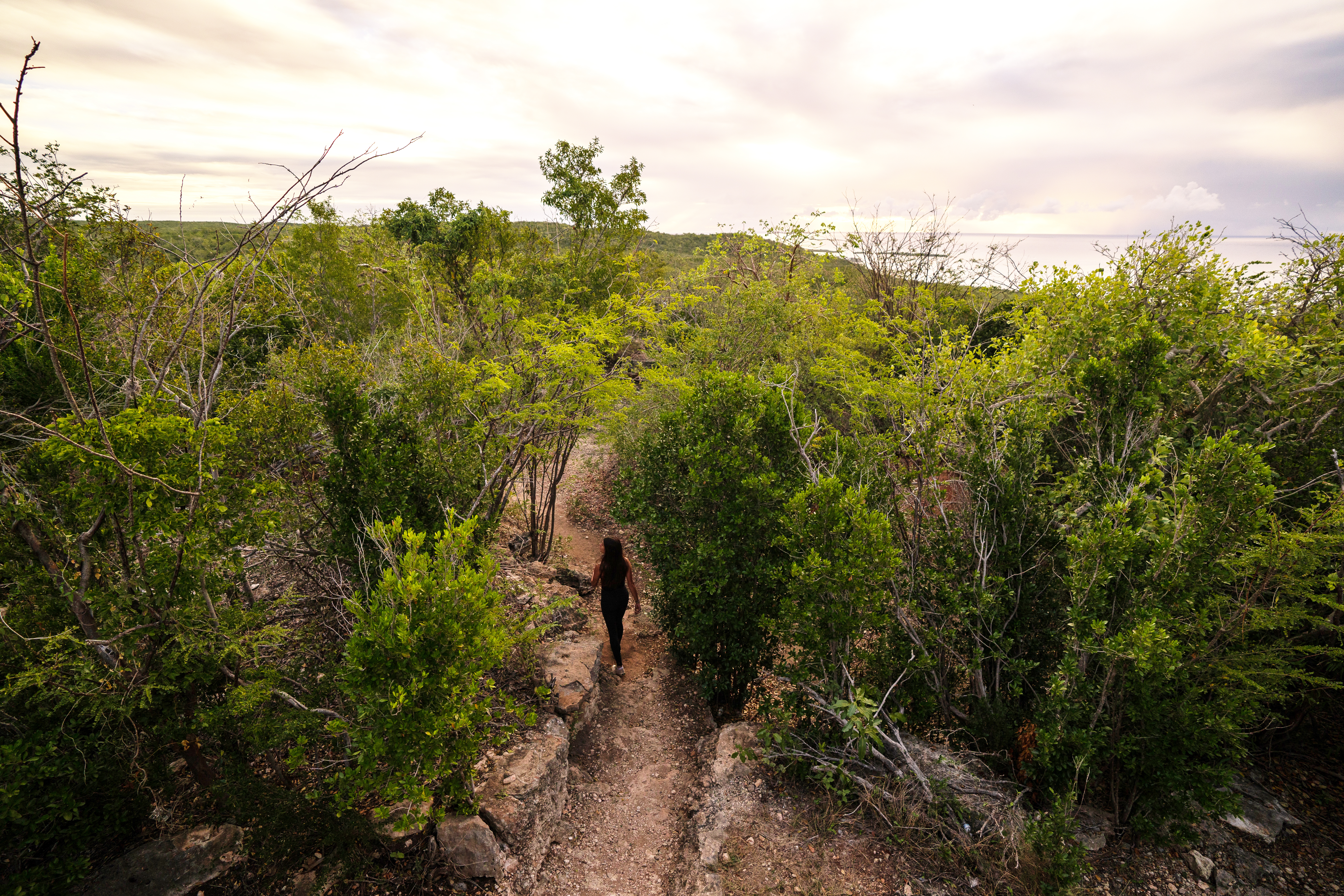 Hiking the Ballena trail