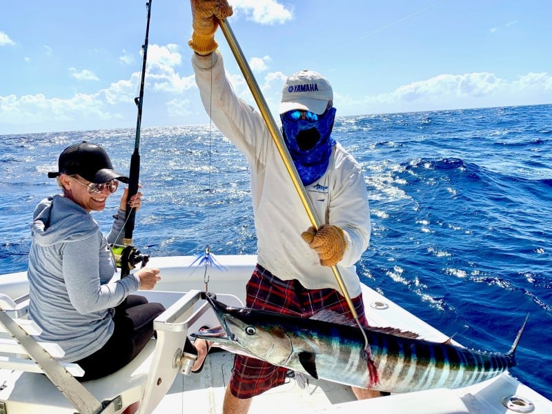 Parguera Fishing Charters Discover Puerto Rico