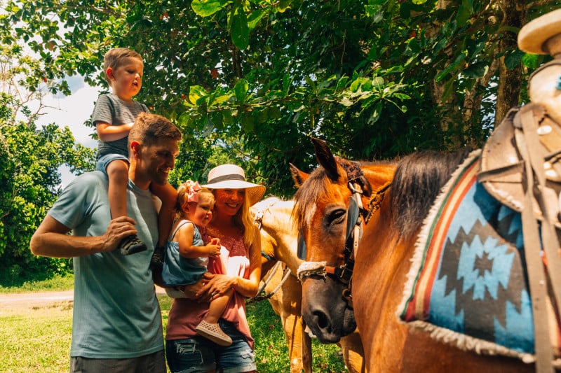 Carabali Rainforest Adventure Park Discover Puerto Rico