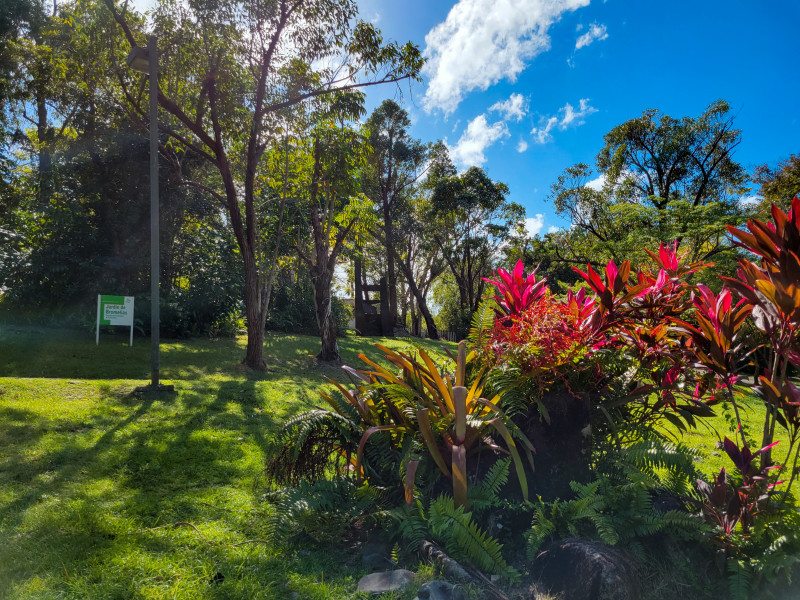 Botanical Gardens Puerto Rico: Explore Tropical Paradise