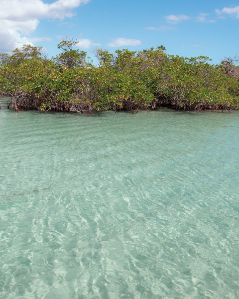 Gilligan's Island