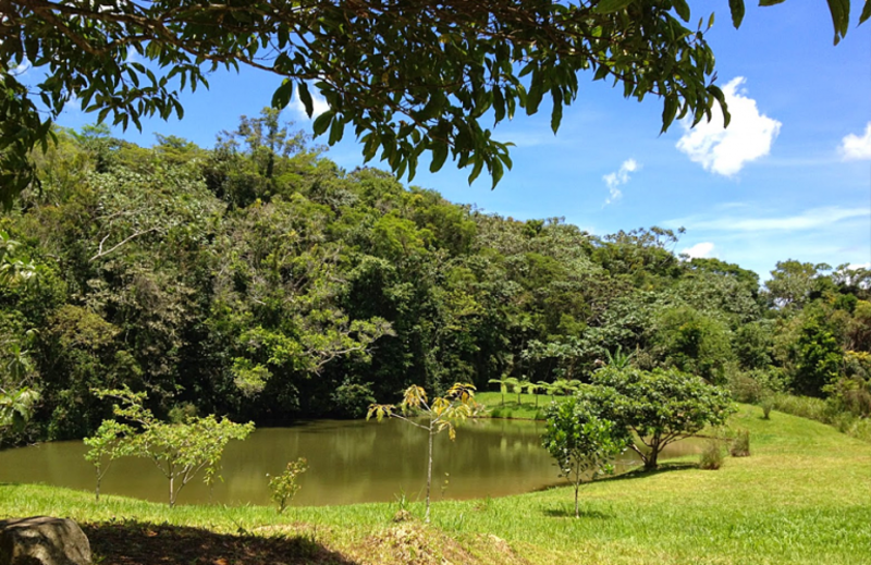 Bosque Estatal Monte Choca