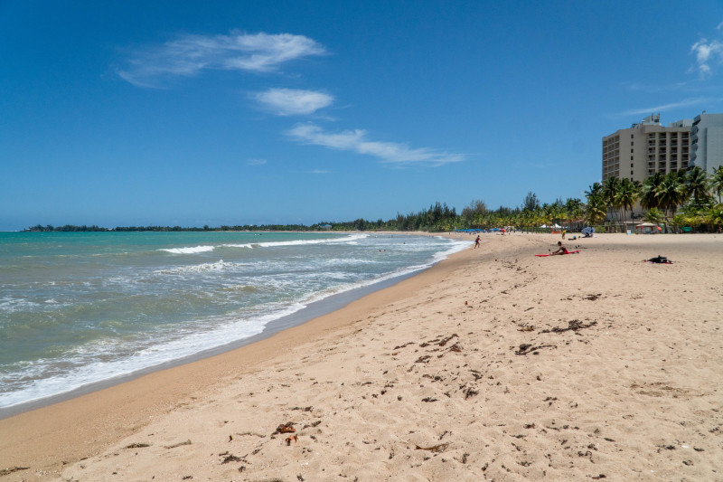 Pine Grove Surf Club