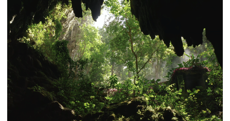 Río Camuy Cave Park