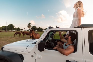 A group of friends riding a Jeep encounter wild horses in Vieques.