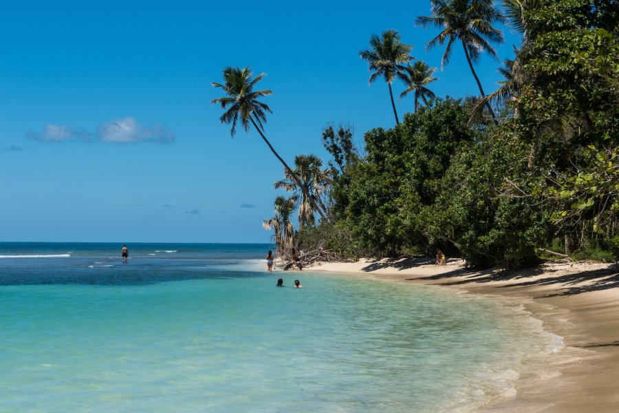 A tropical beach is framed by palm trees in Buye, Puerto Rico.