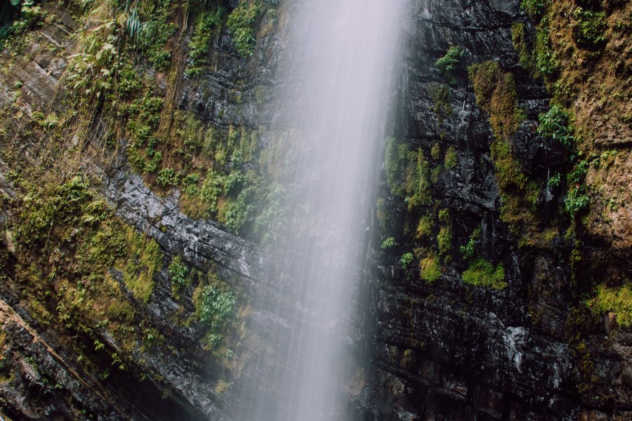 El Yunque 