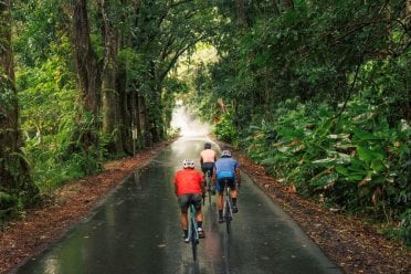 Three cyclists riding on a wet road through a lush tropical rainforest in Puerto Rico, surrounded by dense green foliage and mist rising in the distance.