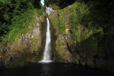 Doña Juana Waterfall cascading into a natural pool surrounded by lush tropical forest in Orocovis, Puerto Rico.