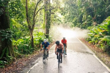 Three cyclists riding on a wet road through El Yunque rainforest with mist and dense vegetation around them.