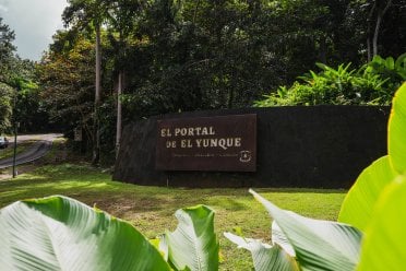 Entrance sign for El Portal de El Yunque surrounded by lush greenery along a roadside.