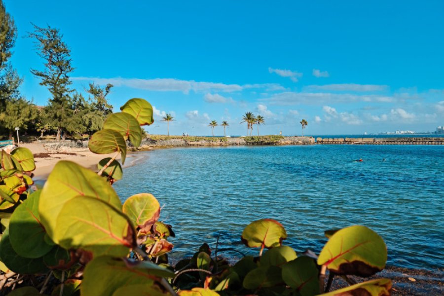 View of El Escambrón beach in San Juan, great place for snorkeling and swimming activities in San Juan.