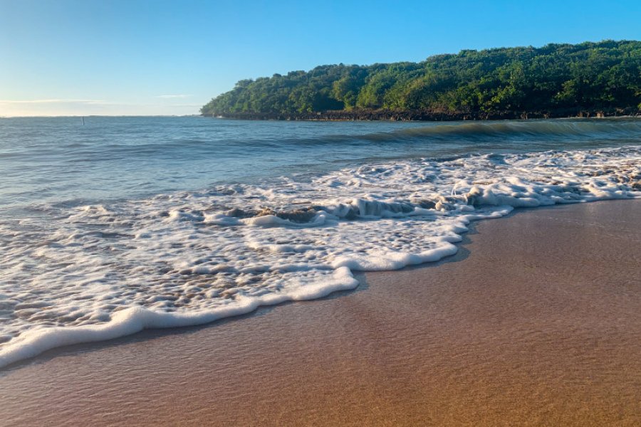 Water washes in the shore of a beach. 