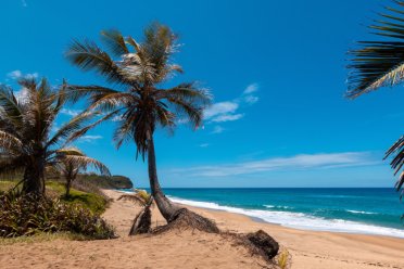 Peaceful shores of Playa Pastillo, a quiet beach in Puerto Rico.