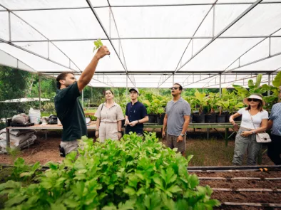 Travelers participate in an agricultural tour inside a greenhouse at Finca La Zafra.
