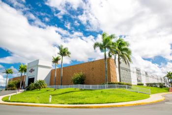 Skechers gran plaza on sale