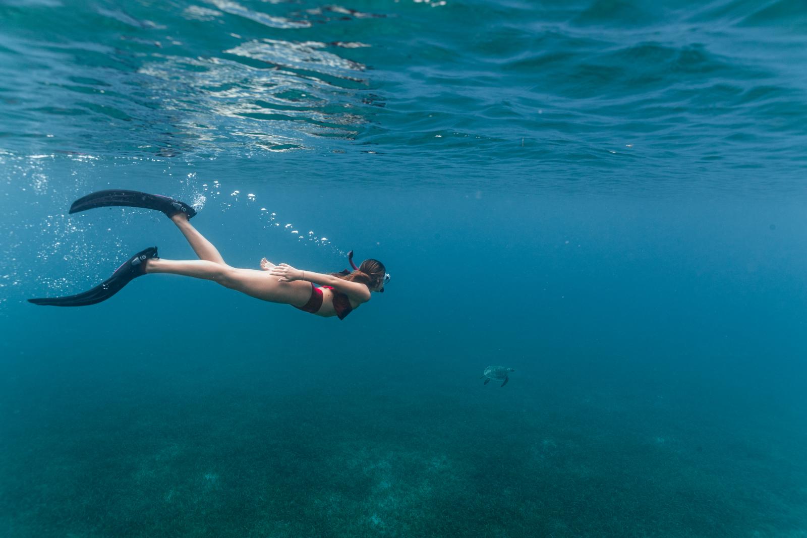 Snorkeling in Culebra