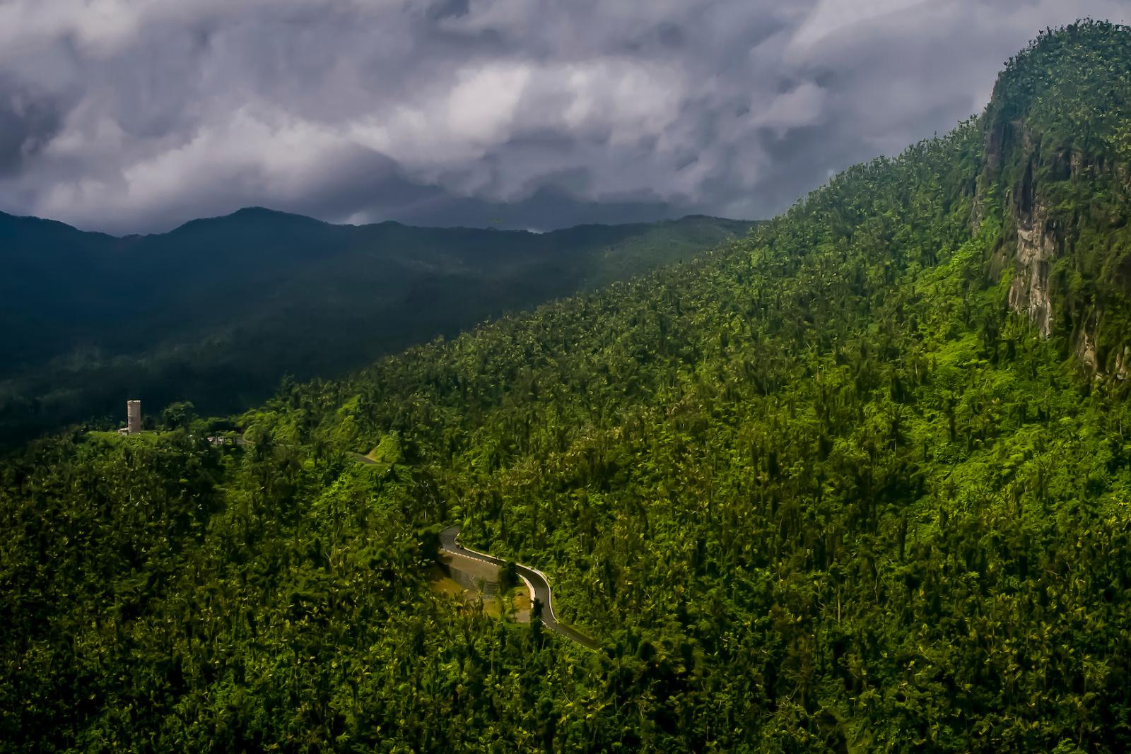 El Yunque is the only tropical rainforest in the U.S. National Forest Service.