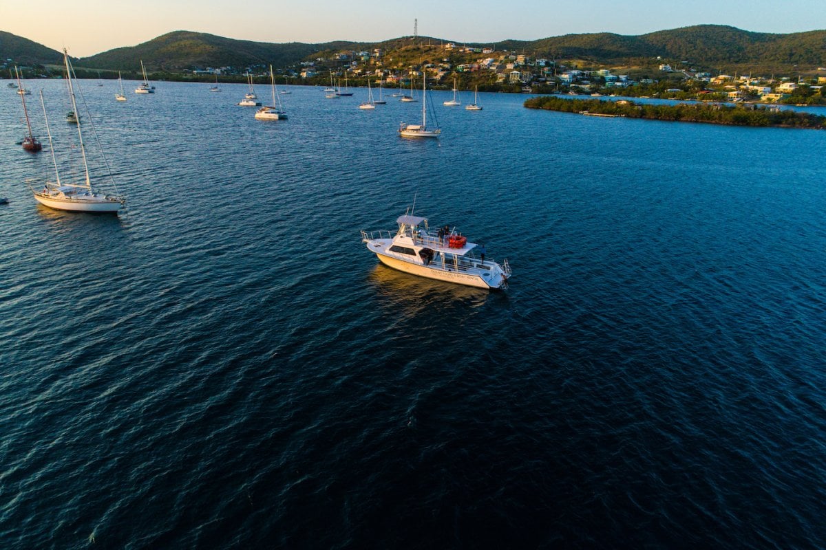 A variety of boats line a harbor at sunset.