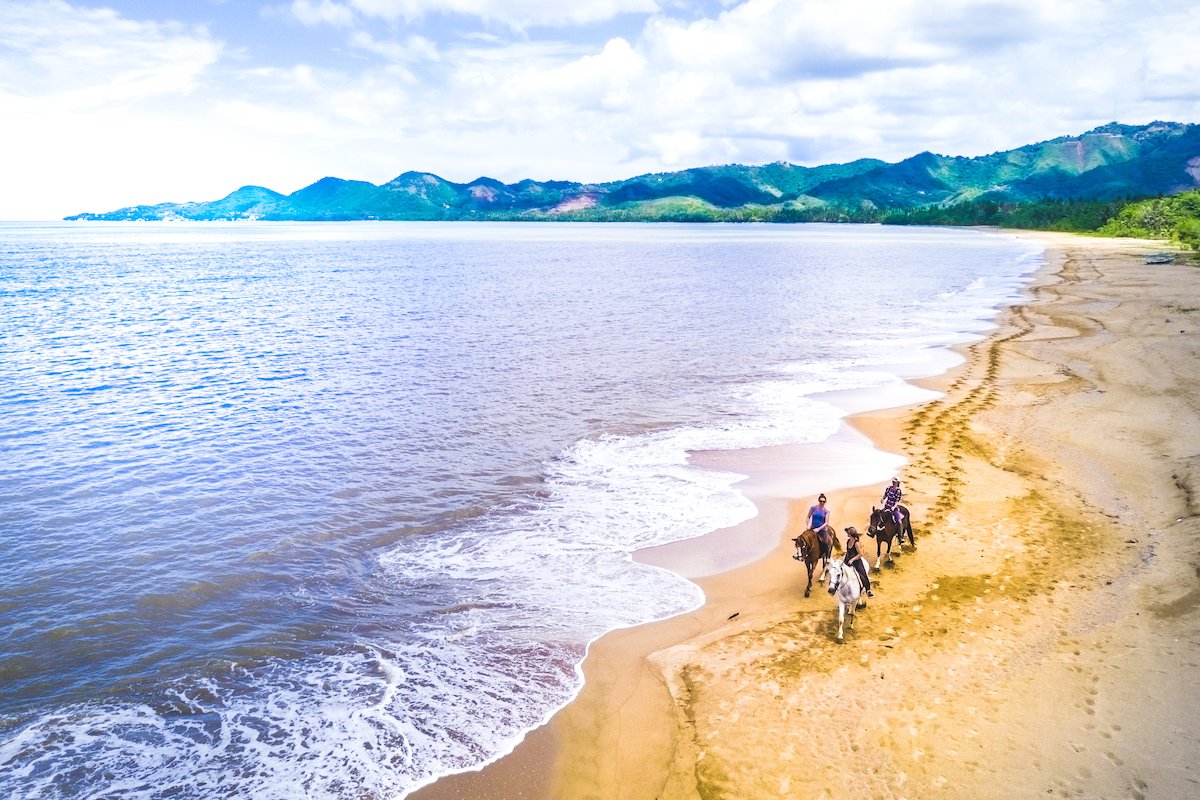 Un grupo disfruta de un tranquilo paseo a caballo por la playa.