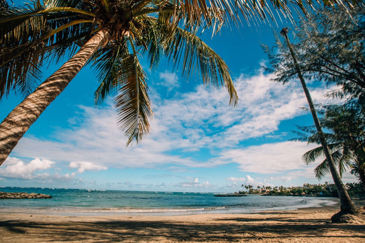 Palm trees frame a view of the ocean and beach at Balneario Manuel Morales