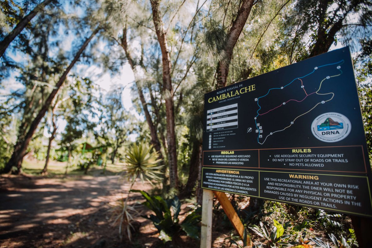 Which way to go? Cambalache State Forest has 1,600 acres to explore. 