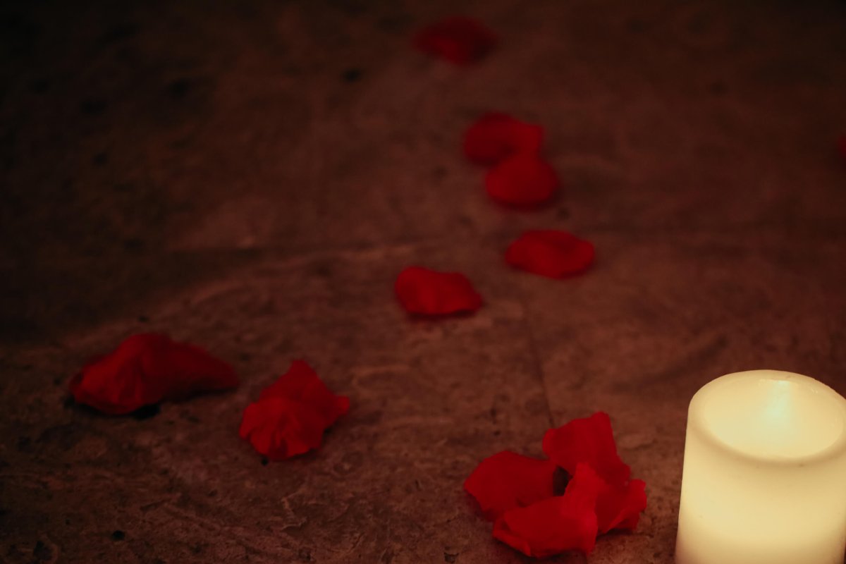 rose petals strewn before a candle