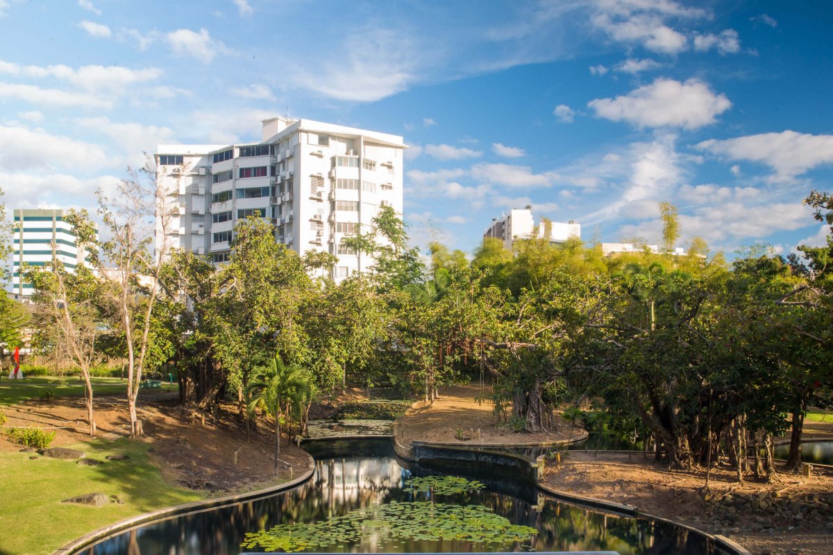 View of the sculpture gardens at the Museo de Arte in San Juan. 