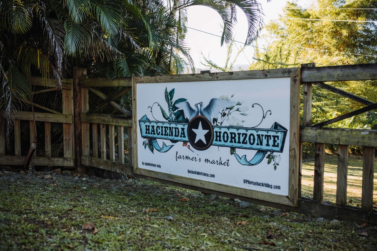 Farmers Market sign at Finca Horizonte in Utuado.
