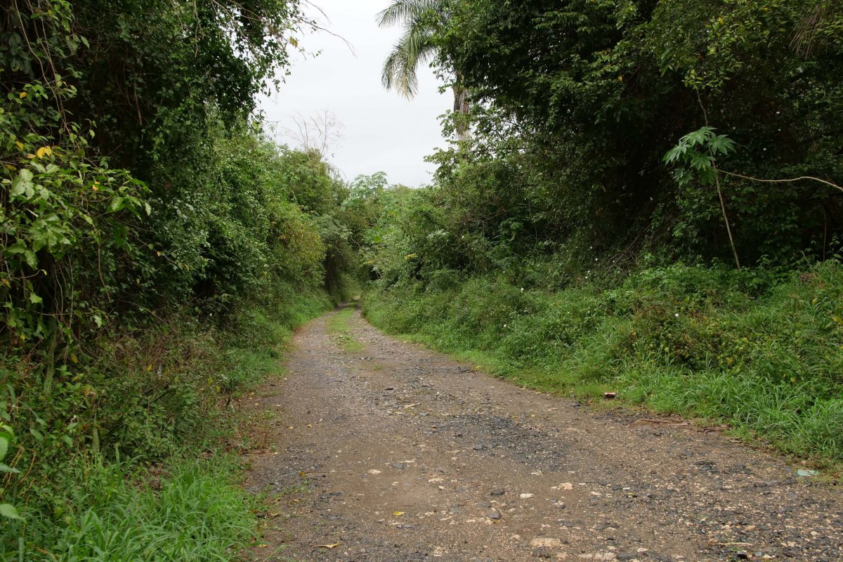 View of El Convento Natural Protected Area