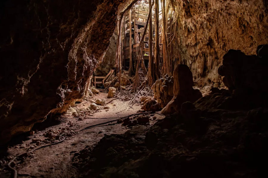 Interior of Cueva del Viento in Guajataca State Forest, showcasing dramatic underground scenery.