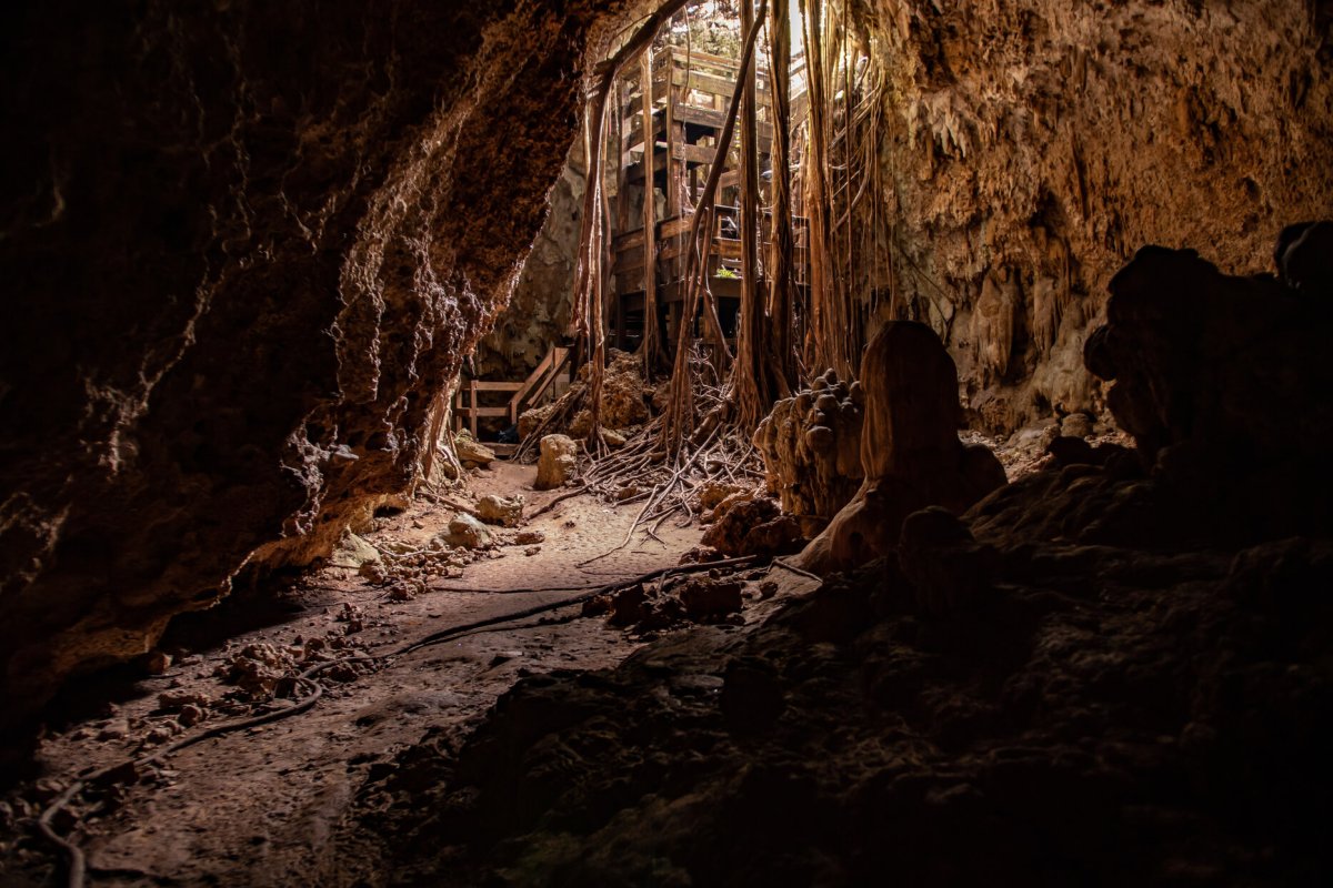 Vista interior de la Cueva del Viento en el Bosque Estatal de Guajataca