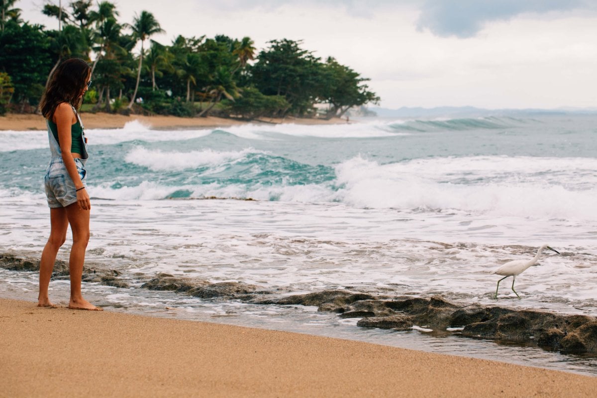 Woman watching a bird along the shore at Tres Palmas Marine Reserve.