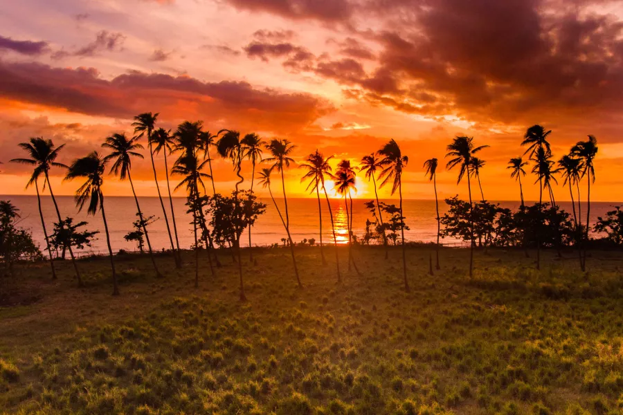 A colorful sunset on the west coast of puerto rico with palm trees in middle distance