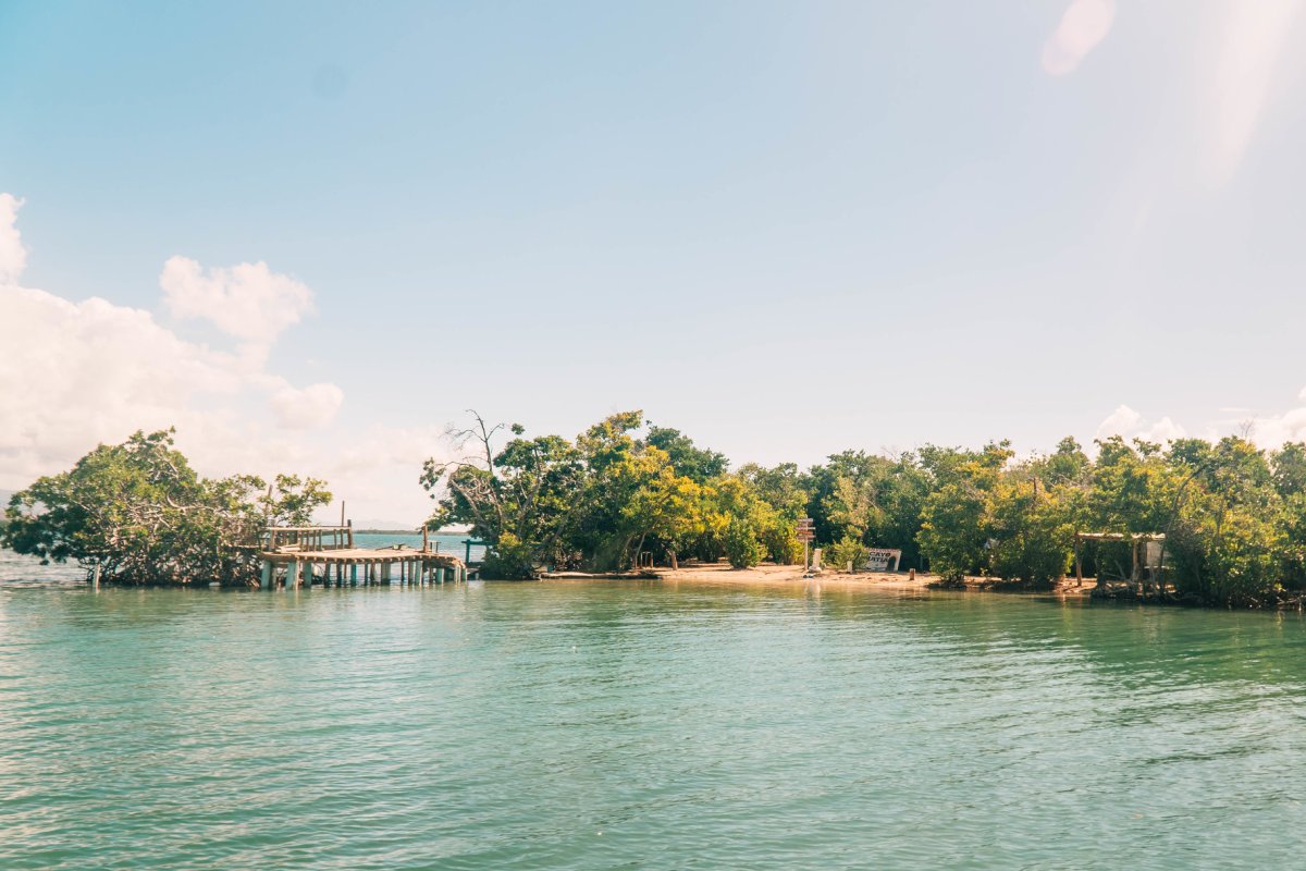 Cayo Matías, an undeveloped mangrove island in Salinas.