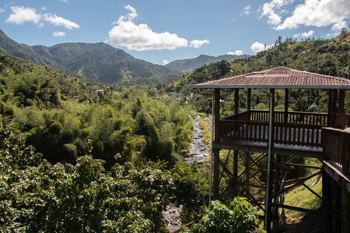 Paisaje exuberante de Puerto Rico